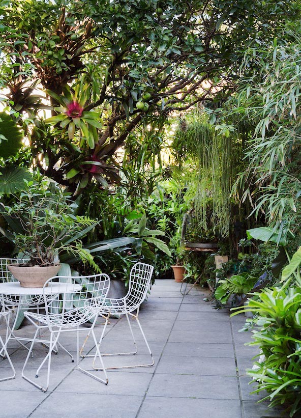 Urban Oasis - Urban backyard inspiration, Brooklyn backyard inspiration
